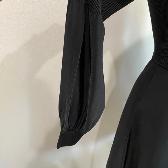 Theory Blouson Whimsigoth Sleeve Fit & Flare Witchy Dress NWT Sz Large - Picture 8 of 10